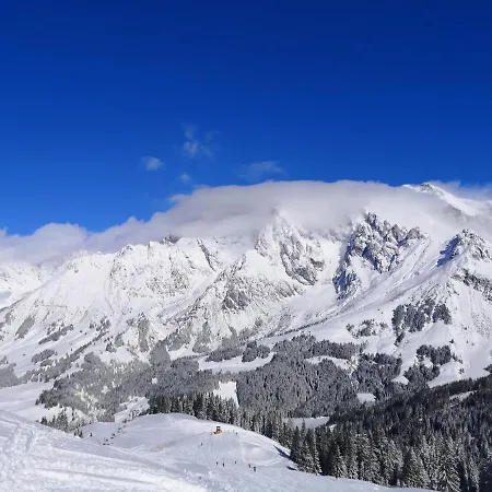 Daum - Frisch Renovierte In Mühlbach am Hochkönig