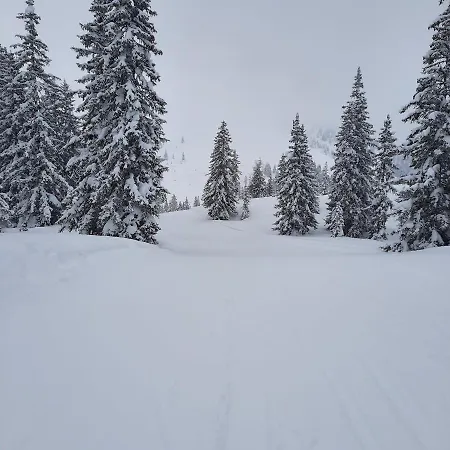 Apartment Daum - Frisch Renovierte In Mühlbach am Hochkönig