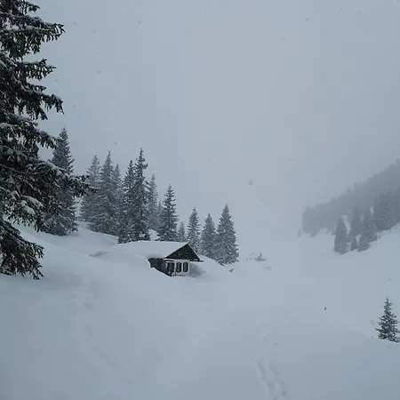 Daum - Frisch Renovierte In * Mühlbach am Hochkönig